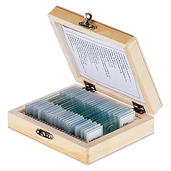 AmScope PS25 Prepared Microscope Slide Set for