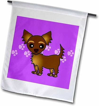 Amazon Com 3drose Cute Chocolate Brown Longhaired Chihuahua