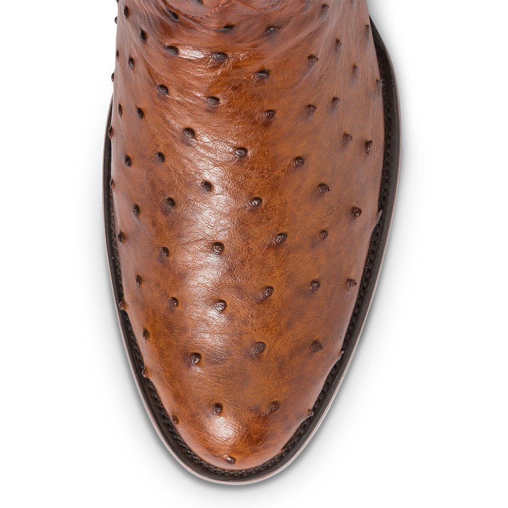 botas de avestruz negras para hombre