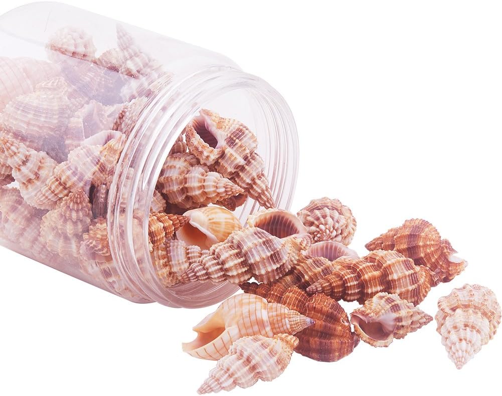PandaHall Elite About 40-50 Pcs Tiny Sea Shell Ocean Beach Spiral Seashells Craft Charms Length 14-40mm for Candle Making, Home Decoration, Beach Theme Party Wedding Decor, Fish Tank and Vase Fille