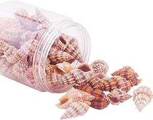 PandaHall Elite About 40-50 Pcs Tiny Sea Shell Ocean Beach Spiral Seashells Craft Charms Length 14-40mm for Candle Making, Home Decoration, Beach Theme Party Wedding Decor, Fish Tank and Vase Fille