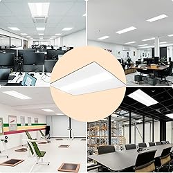 ildfluer 2x4 FT LED Troffer