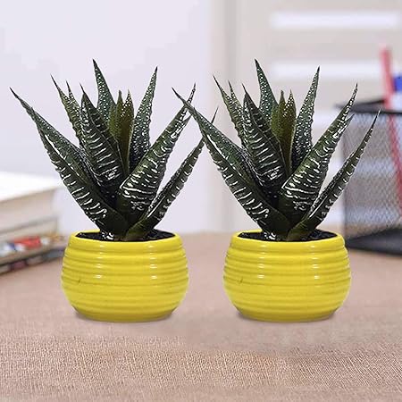 Lasaki Spring Yellow Ceramic Pots for Indoor Plants Planters Flower pots Outdoor Succulent Pot( Set of 2)