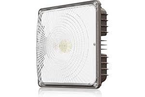 CINOTON 60W Outdoor LED Canopy Light, IP65 Waterproof Commercial Canopy Lights 8400LM Industrial Lighting for Gas Station Garage Warehouse Shop Hotel Carport UL&DLC Listed 5000K Daylight 140LM/W 1Pack