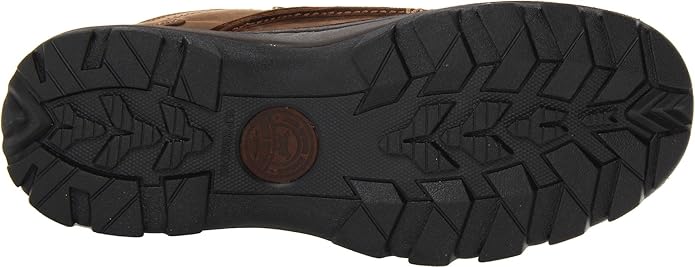 irish setter borderland