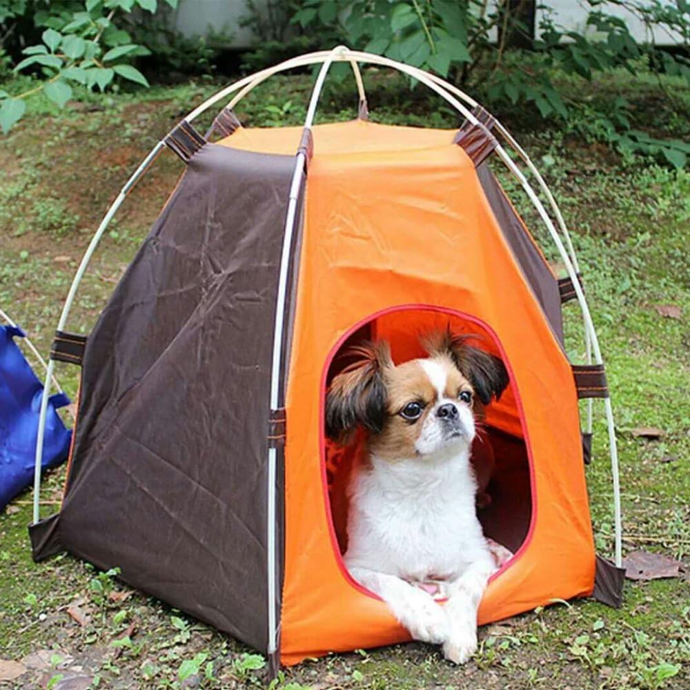 dog backpacking tent