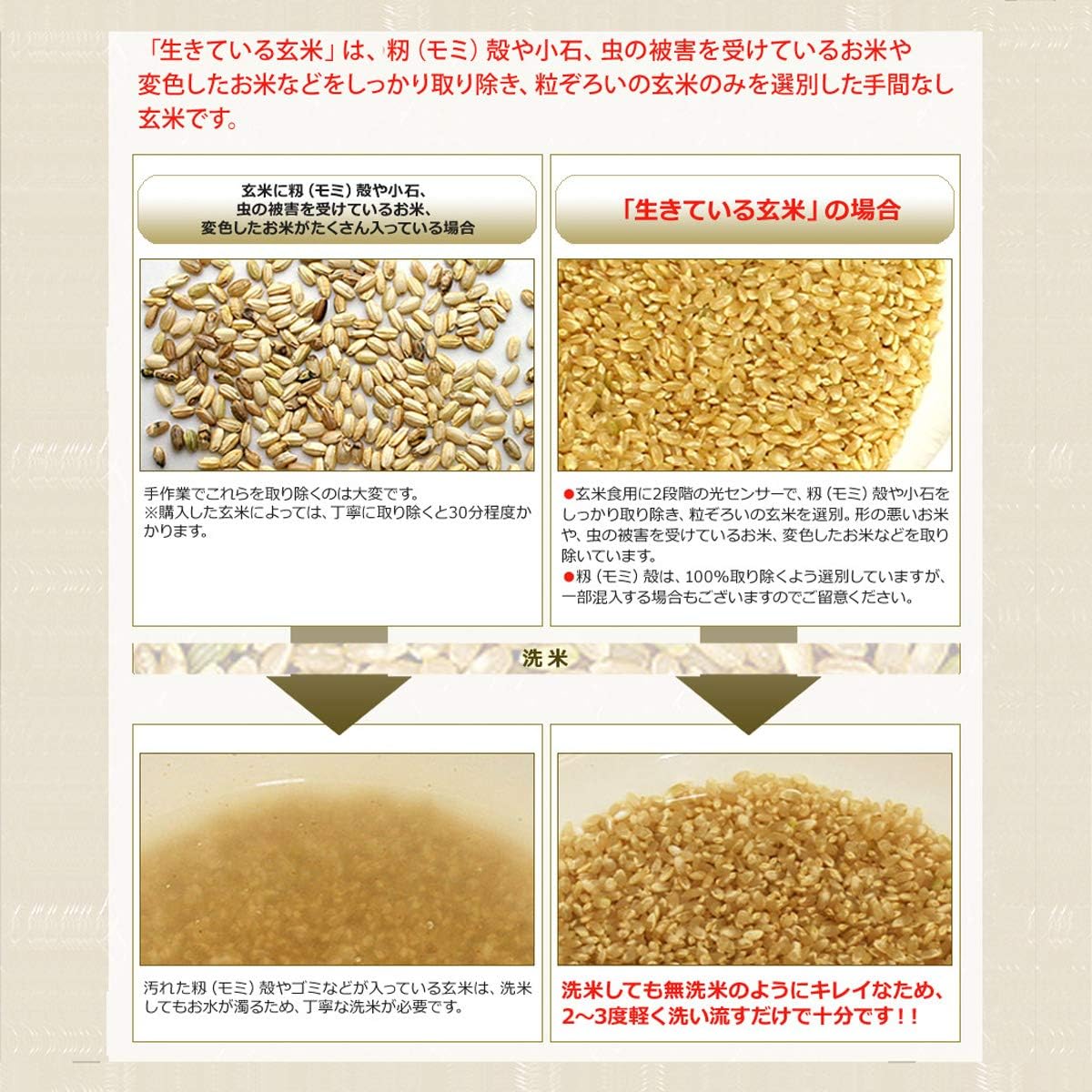 Amazon なでしこ健康生活 コシヒカリ 生きている玄米 5kg 発芽玄米 酵素玄米専用 残留農薬ゼロ なでしこ健康生活 玄米 通販