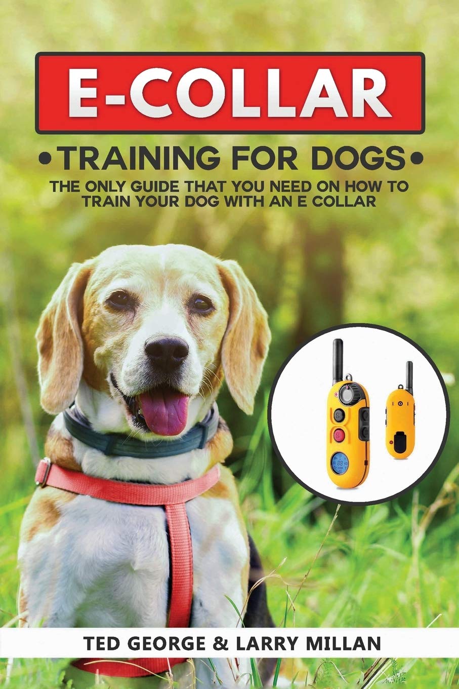 training your dog with an e collar