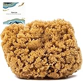 Naroa Massage Natural Shower Sponge | Unbleached Body Scrubber Puff | Bath Sea Loofah for Healthy Skin | Sustainable Plastic Free (Small)