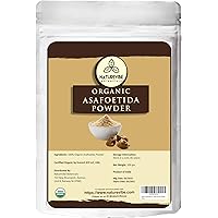 Naturevibe Botanicals Organic Asafetida Powder 100gm (Hing, Asafoetida Ground) 3.53oz | Non-GMO and Gluten Free | Indian…