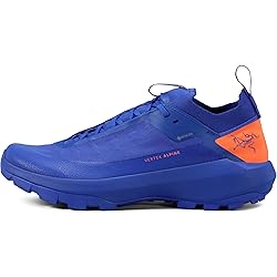 Arc'teryx Vertex Alpine GTX Shoe Men's | Fast and