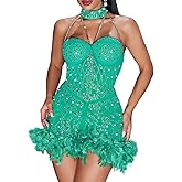 NIKBK Sexy Feather Rhinestone Backless Mesh Sheer Burlesque Outfit Nightout Clubwear Birthday Party Dress