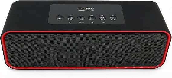 musky mini hifi speaker dy22