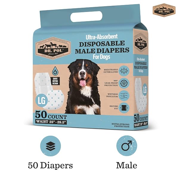 DR. POL MALE DOG DIAPERS – SUPER ABSORBENT, BREATHABLE, LEAK-PROOF WITH WETNESS INDICATOR, LARGE, 50 COUNT