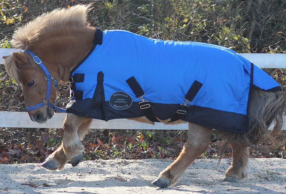 Chicks Saddlery Showman Large Mini/Pony 1200 Denier