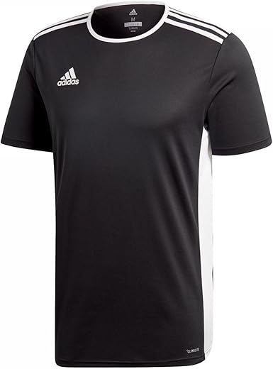 adidas entrada 18 jersey