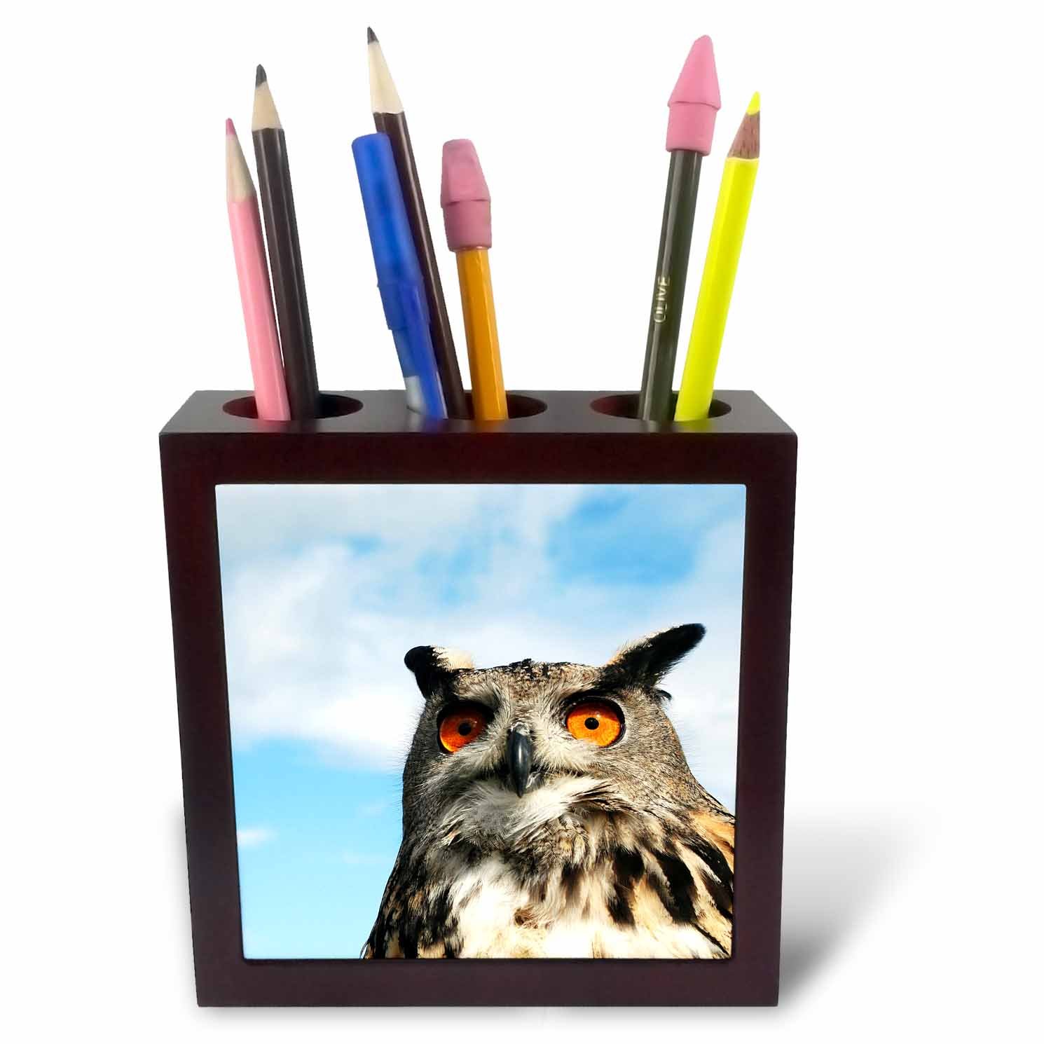 3dRose Eagle Owl (Bubo Bubo) in Spain - Tile Pen Holder, 5-Inch (Ph_219740_1)