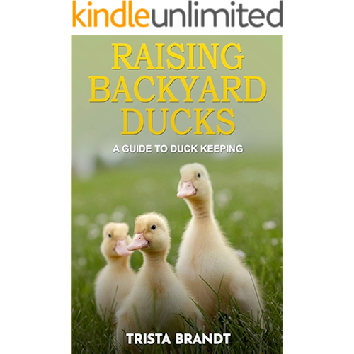 Books By Trista Brandt Pdf Read Raising Backyard Ducks A Guide