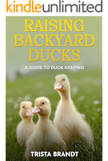 Raising Ducks For Beginners Guide Perfect Poultry For Backyard