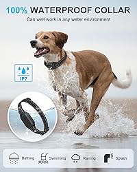 No Shock Dog Training Collar with Remote, Dog
