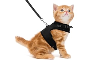 PUPTECK Soft Mesh Cat Vest Harness and Leash Set Puppy Padded Pet Harnesses Escape Proof for Cats Small Dogs Rabbits Bunny, Black Medium