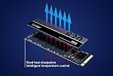 Lexar NM620 2TB SSD M.2 NVMe PCIe Gen3x4 Internal Solid State Drive view 4