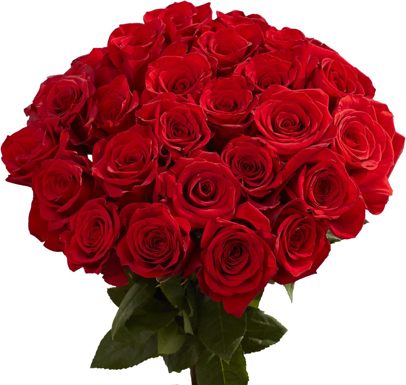 Amazon Com Globalrose 50 Red Roses Fresh Flowers Lovely