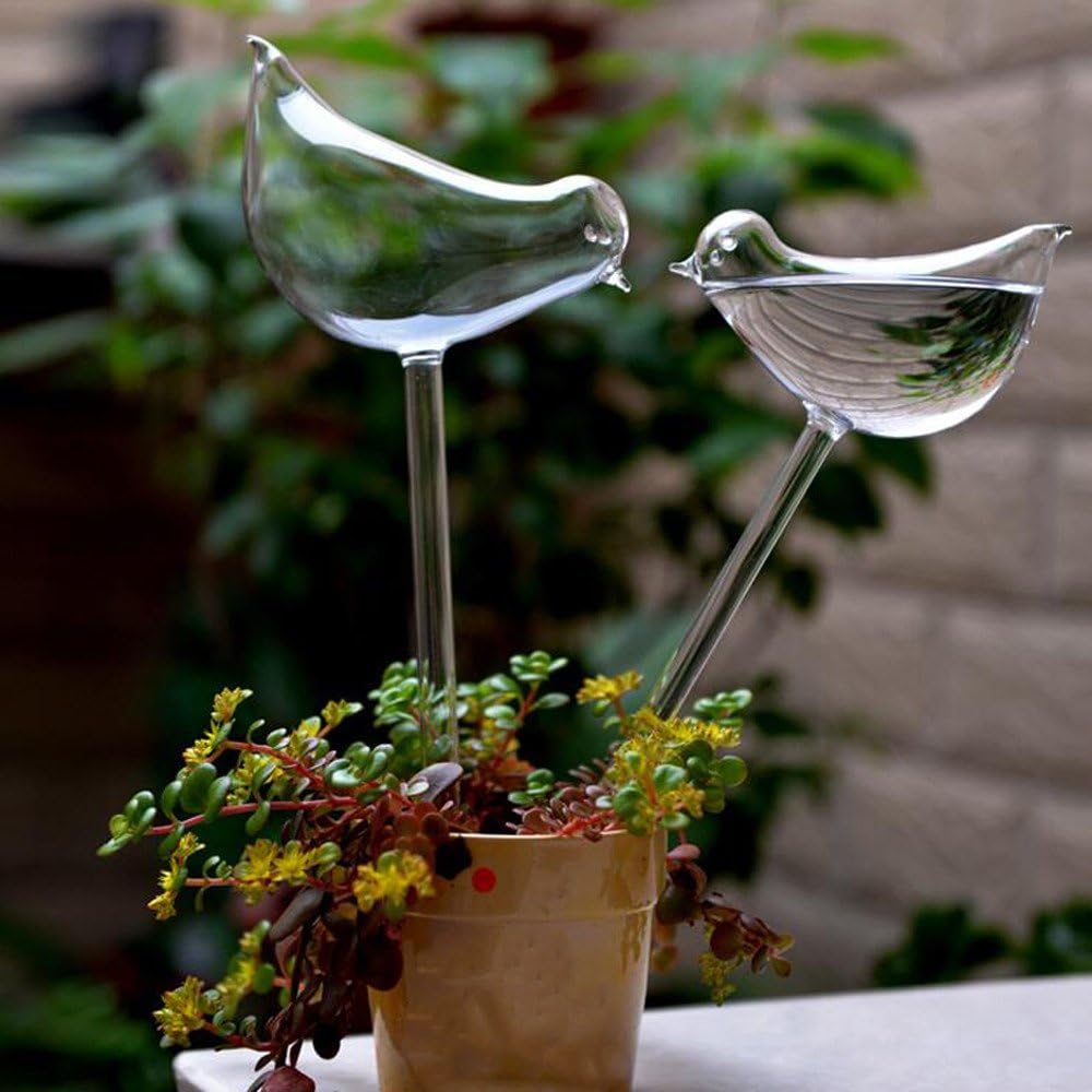 Fiosoji Bird Shape Hand Blown Clear Glass Automatic Watering Durable Mini Transparent Bird Shape For Plant Home Garden (Clear, 2 Pcs)