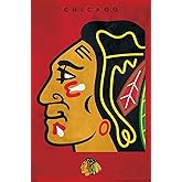 Trends International NHL Chicago Blackhawks - Logo 25 Wall Poster, 34L x 22.4W, Premium Unframed Version
