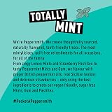 Peppersmith British Peppermint Mints 100% Xylitol Sugar Free 12x15g view 7