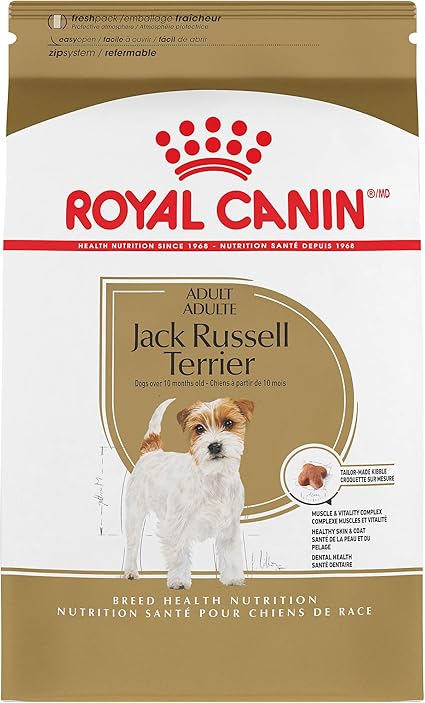 best dog food for jack russell