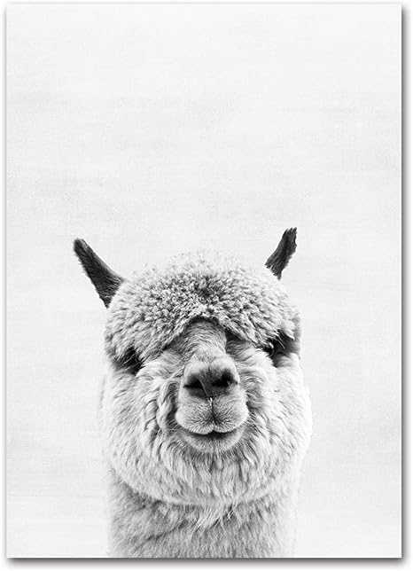 Amazon Co Jp アルパカ写真キャンバス絵画壁アートアルパカアートポスター印刷南アメリカの動物の壁の写真部屋の装飾30x40cm 12x16in 非フレーム ホーム キッチン