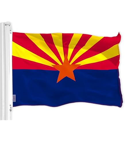 せ*や様 ARIZONAFREEDOM【T-13a】 Arizona | Nubuck | Faded Purple – Birkenstock Midtown