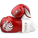 valour boxing gloves