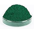 GOODTAKE Concrete Pigment, Green Iron Oxide Pigment Powder, Concrete Cement Dye Color Pigment for Pastel Tile Paint Concrete Cement Mortar Grout (Green, 16 oz)