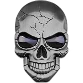 Micro Traders 3D Metal Decal Skull Punisher Vehicle Sticker Waterproof Decoration Logo Cranium Emblem Badge Decal for Car Truck Motorcycle Refrigerator Computer Door Titanium Silver
