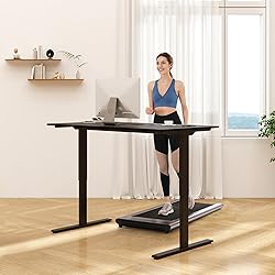FLEXISPOT Standing Desk Electric Height Adjustable