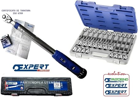 Cle Dynamometrique 40 200 Cassette Douilles Expert By Facom 26 Pieces Amazon Fr Bricolage