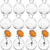 SOUJOY Set of 12 Small Glass Ball Bud Vase, Unique Mini Low Sitting Flower Vase, Clear Floral Centerpieces for Home Decor, We