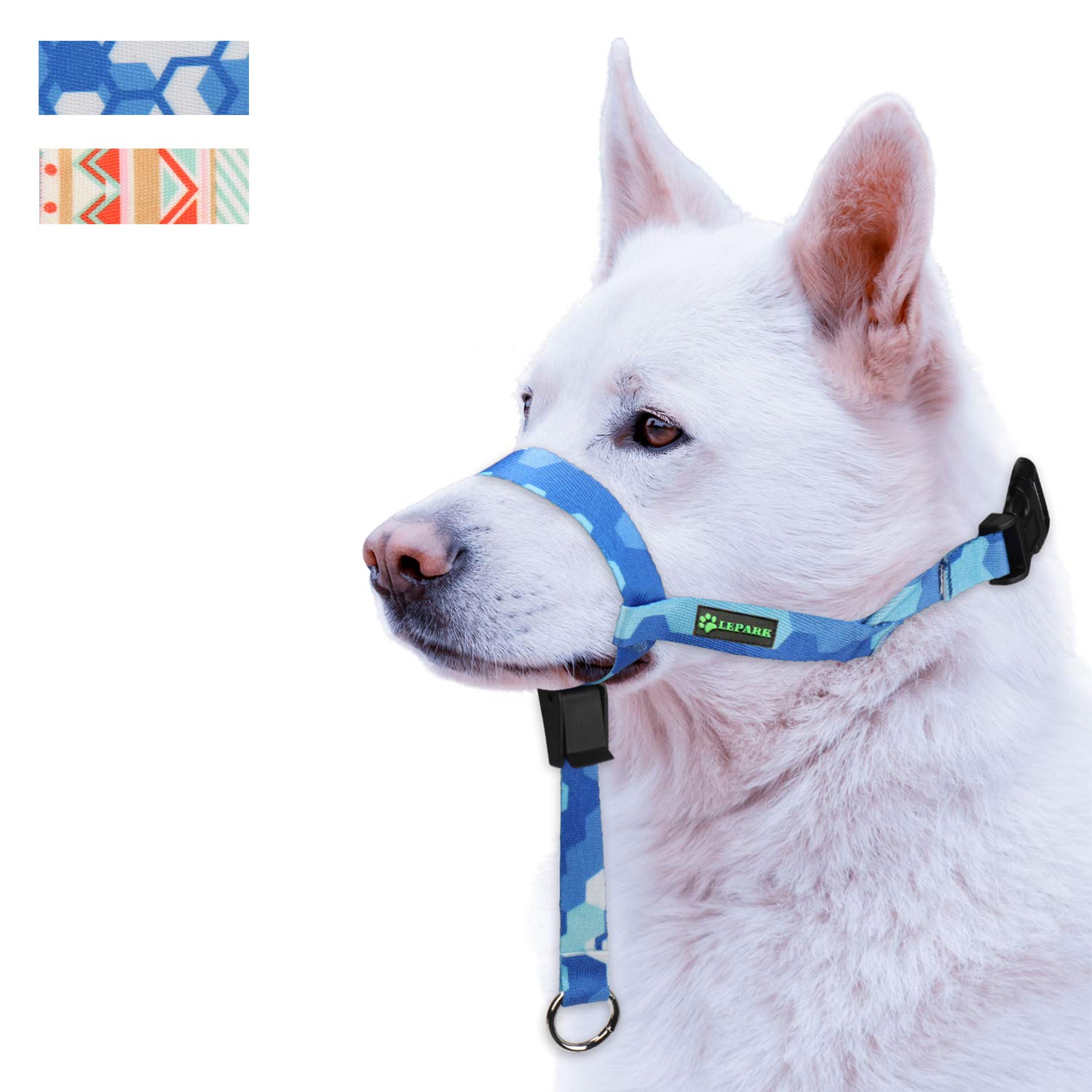 muzzle training for biting