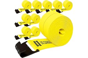 DC Cargo Winch Straps, 4" x30' Flatbed Trailer Strap Tie-Downs w/Flat Hooks (Pack of 10) 5,500LB WLL - Heavy Duty Tie Down Ca
