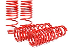 Skunk2 Racing 519-05-1550 Lowering Spring for 1996-2000 Honda Civic