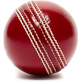 YNR Cricket Practice Wind Balls 5 1/2 oz Indoor Outdoor Professional Hollow Pack (Pack of 1)
