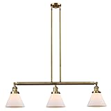 Innovations 213-BB-G41-LED LED Island Pendant from