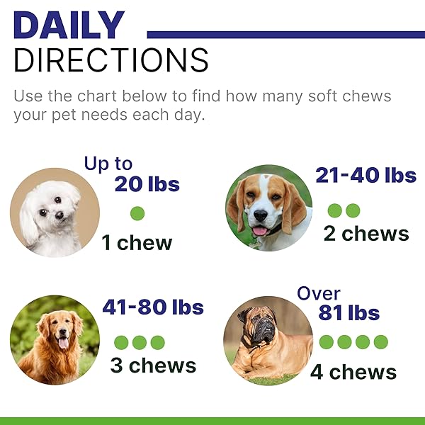 PAWSENTIAL OMEGA FISH OIL FOR DOGS – FOR DRY ITCHY SKIN – ALLERGY RELIEF FOR DOGS ITCHING – OMEGA SKIN&COAT SUPPLEMENT CHEWS – ANTI ITCH RELIEF, SHEDDING, HOT SPOTS – SKIN HEALTH VITAMINS -120 CT