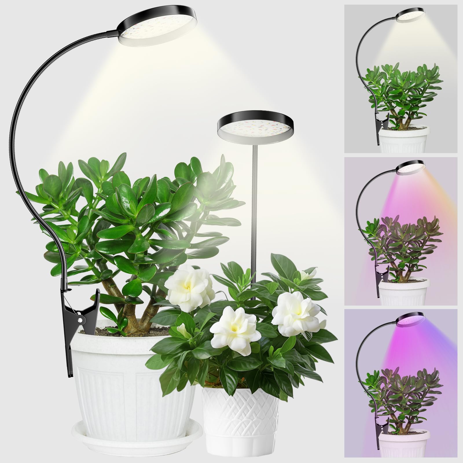 YUYMIKA Grow Lights for Indoor Plants, Clip On Full Spectrum LED Grow Light with 3,6,12 H Timer, 10 Dimmable Levels, 3 Colors Grow Lamp with 360°Gooseneck, for Houseplants, Bonsai, Pot Plant, 2 Pack