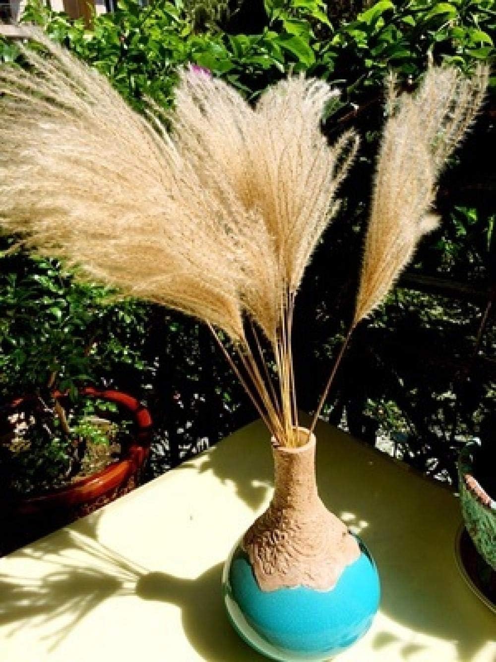 XINGXIAOYU Pampasgrass 50 Dried Flower Reeds, Large Reed Flowers, Artificial Dog Tail, Rice Decorative Dried Flower Reed Flowers, Wheat Ears