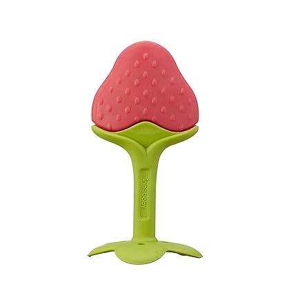 vibrating fruit teether