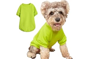 JOUHOI Puppy Sweater for Small Dogs Clothes Warm Winter Cat Clothe Pet Sweatshirt Knitwear Doggie Kitten Clothing, Light Green, Medium