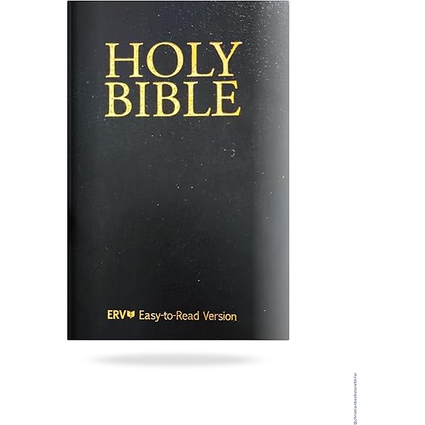 The Holy Bible, New Revised Standard Version, Nrsv,: NRSV